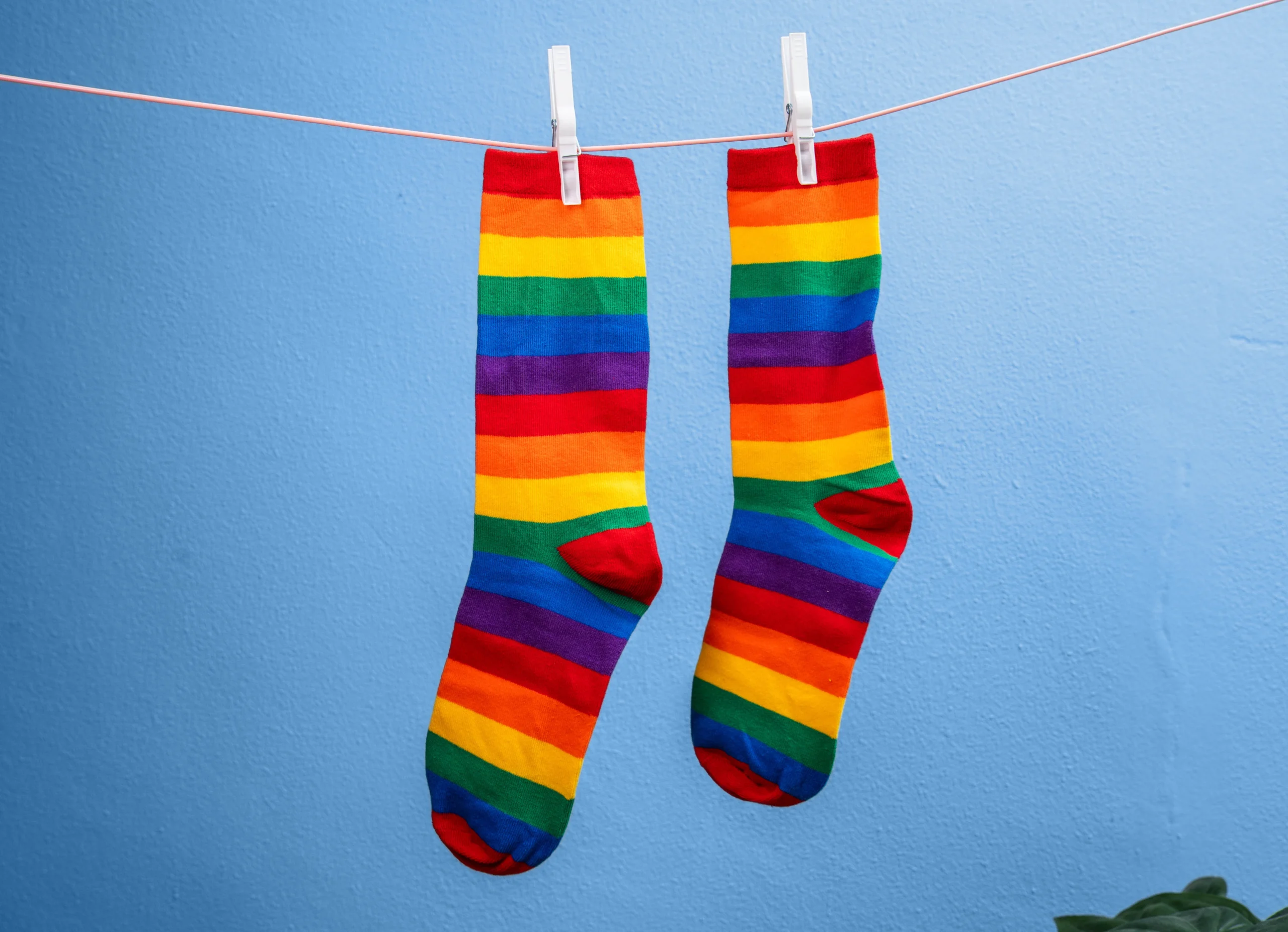 Regenboogsokken bierblik – cadeau in blik - Afbeelding 2