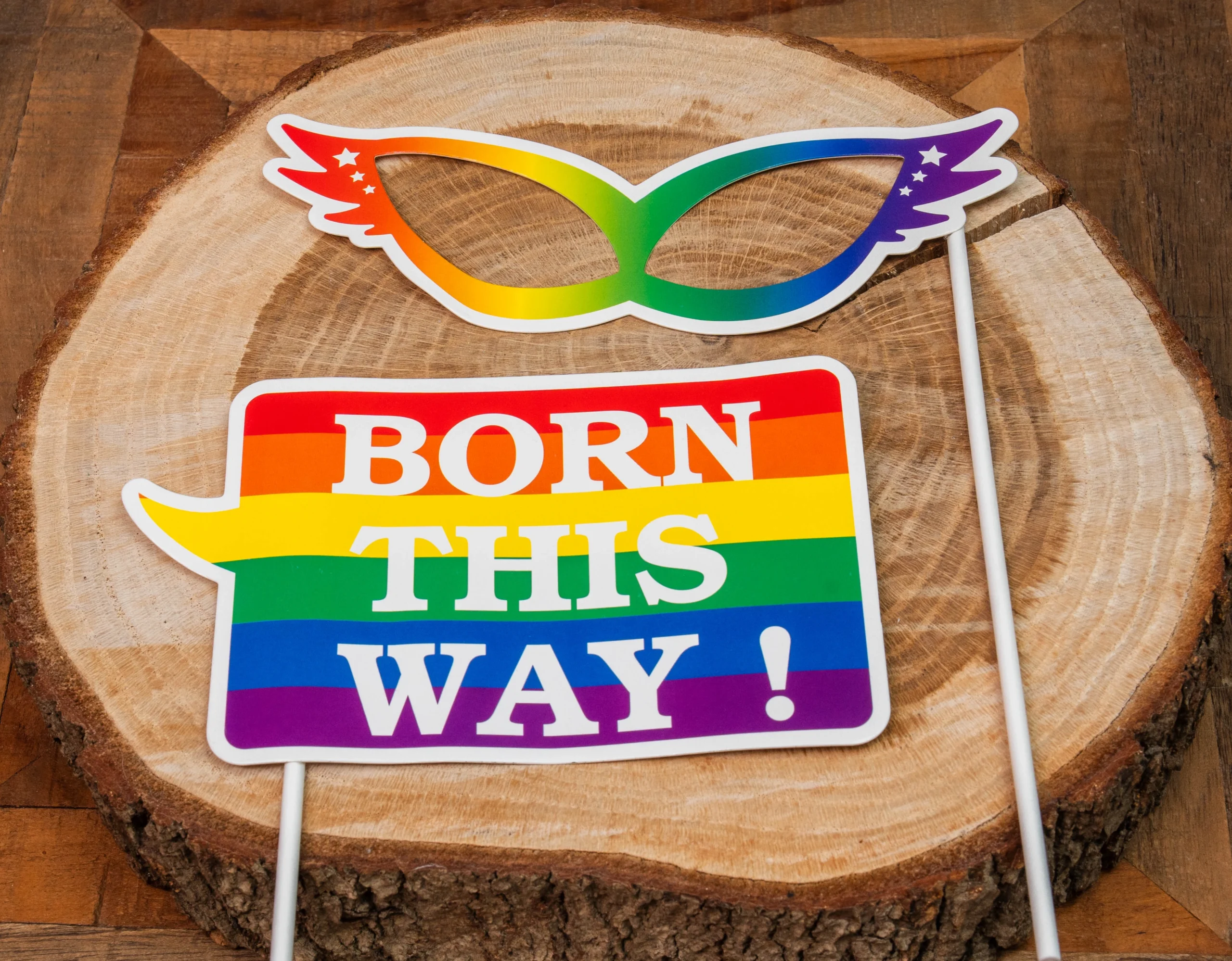 Pride fotoprops – party accessoires op stokje - Afbeelding 3