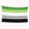 Aromantic Pride vlag met groene witte grijze en zwarte strepen en ophangringen