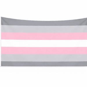Demigirl Pride vlag met grijze, roze en witte banen en ophangringen links