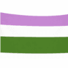 Genderqueer Pride vlag met paarse, witte en groene banen en ophangringen links