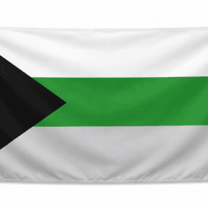 Demiromantic Pride vlag met ophangringen
