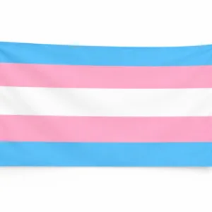 Transgender Pride vlag 90×150 cm in lichtblauw roze en wit