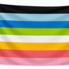 Queer vlag met zeven horizontale banen in zwart, lichtblauw, blauw, groen, wit, geel, roze en lichtroze