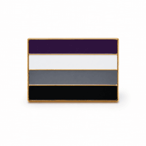 Aseksuele Pride vlag pin in paars wit grijs en zwart met goudkleurige rand