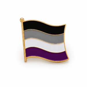 Aseksuele Pride vlag-op-stok pin in paars wit grijs en zwart met goudkleurige rand