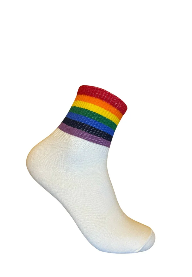 Witte regenboog sokken met brede strepen